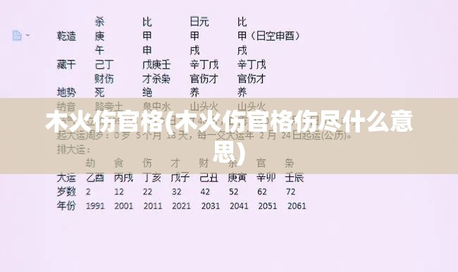木火伤官格(木火伤官格伤尽什么意思)