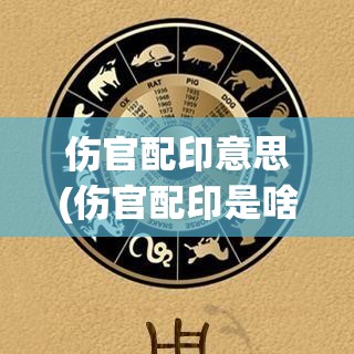 伤官配印意思(伤官配印是啥意思)
