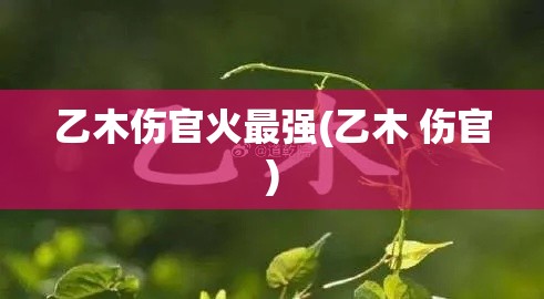 乙木伤官火最强(乙木 伤官)