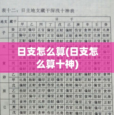 日支怎么算(日支怎么算十神)
