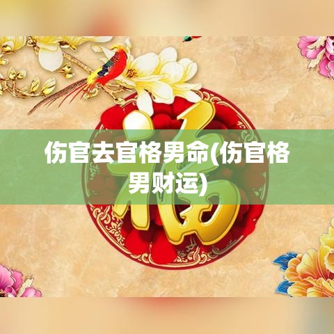 伤官去官格男命(伤官格男财运)