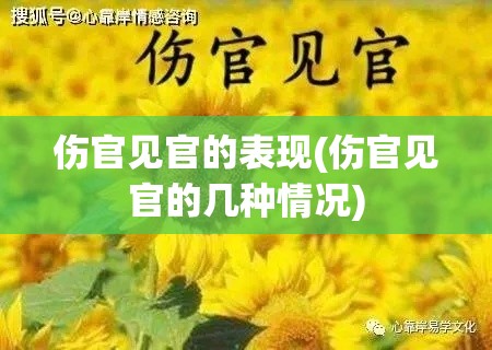 伤官见官的表现(伤官见官的几种情况)