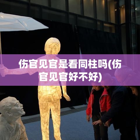 伤官见官是看同柱吗(伤官见官好不好)