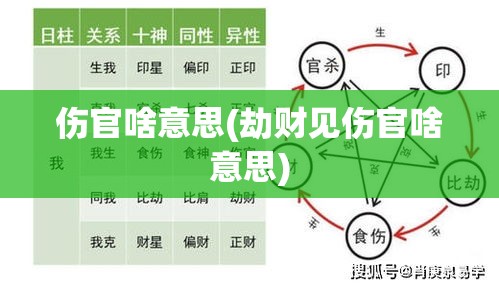 伤官啥意思(劫财见伤官啥意思)