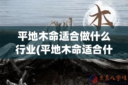 平地木命适合做什么行业(平地木命适合什么工作)
