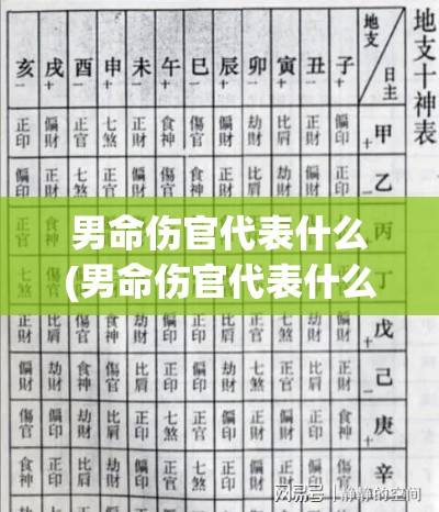 男命伤官代表什么(男命伤官代表什么六亲)
