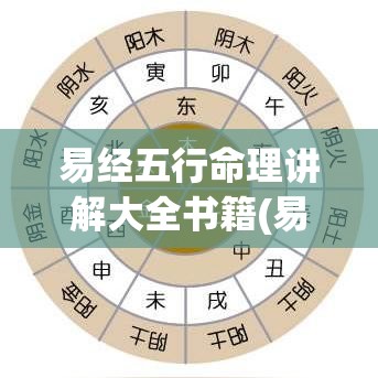 易经五行命理讲解大全书籍(易经 五行)