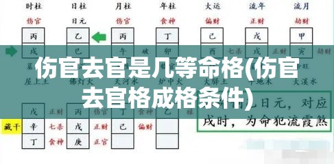 伤官去官是几等命格(伤官去官格成格条件)