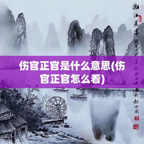 伤官正官是什么意思(伤官正官怎么看)