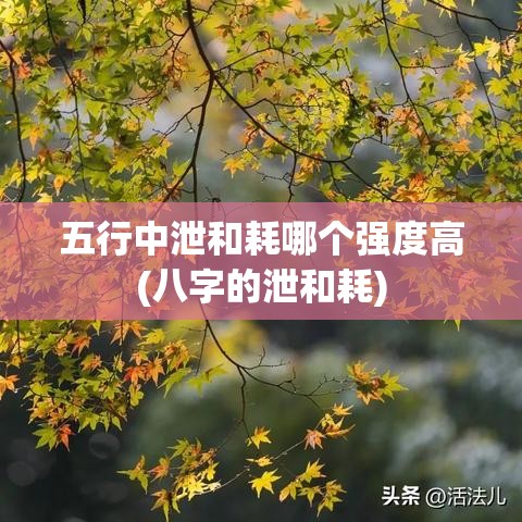五行中泄和耗哪个强度高(八字的泄和耗)