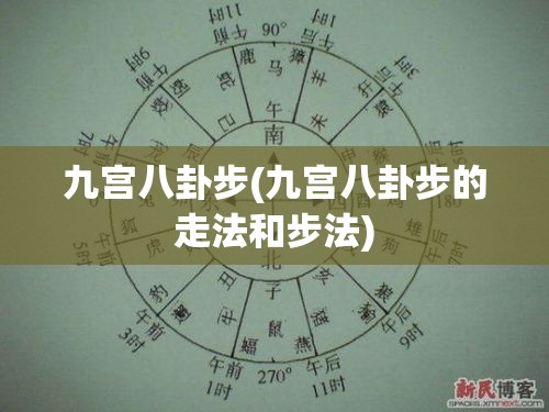 九宫八卦步(九宫八卦步的走法和步法)