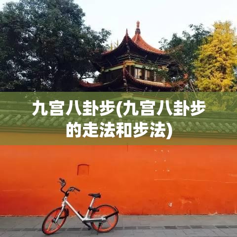 九宫八卦步(九宫八卦步的走法和步法)