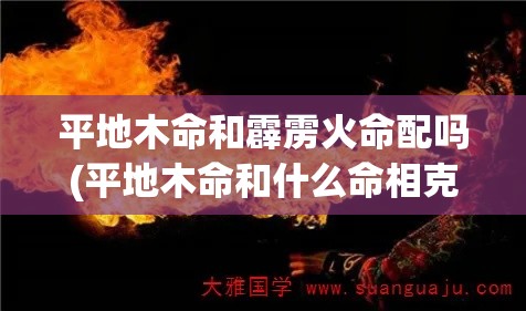 平地木命和霹雳火命配吗(平地木命和什么命相克)