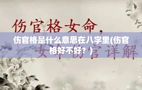 伤官格是什么意思在八字里(伤官格好不好？)