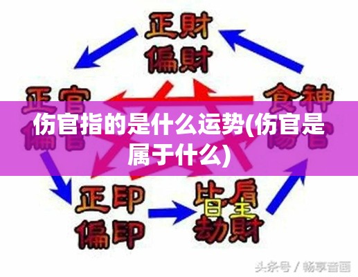 伤官指的是什么运势(伤官是属于什么)