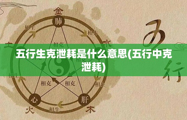 五行生克泄耗是什么意思(五行中克泄耗)