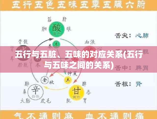 五行与五脏、五味的对应关系(五行与五味之间的关系)