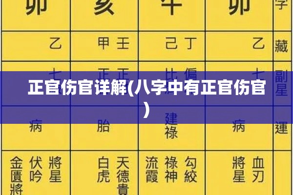 正官伤官详解(八字中有正官伤官)