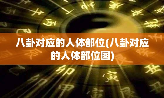 八卦对应的人体部位(八卦对应的人体部位图)