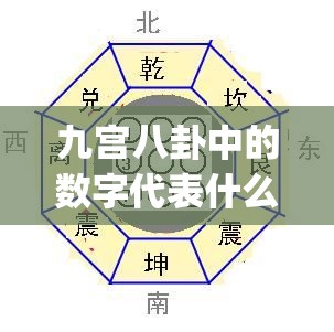 九宫八卦中的数字代表什么(九宫八卦中的数字代表什么意思)