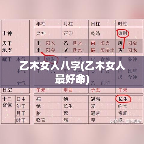 乙木女人八字(乙木女人最好命)