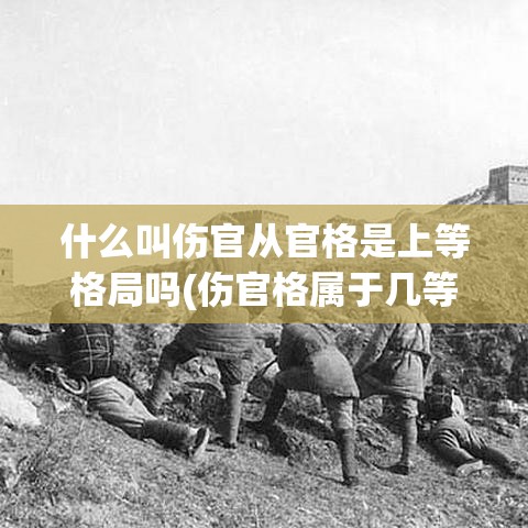 什么叫伤官从官格是上等格局吗(伤官格属于几等)