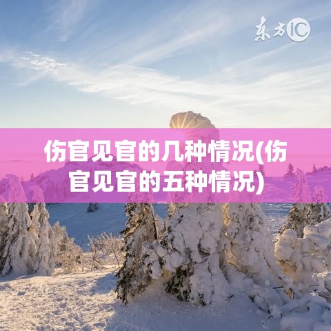 伤官见官的几种情况(伤官见官的五种情况)