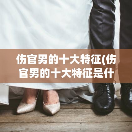 伤官男的十大特征(伤官男的十大特征是什么)