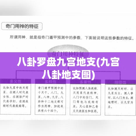 八卦罗盘九宫地支(九宫八卦地支图)