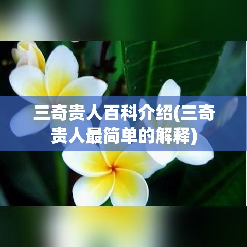 三奇贵人百科介绍(三奇贵人最简单的解释)