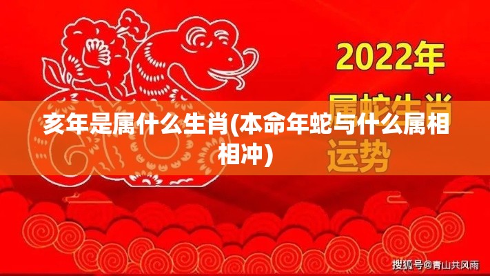 亥年是属什么生肖(本命年蛇与什么属相相冲)