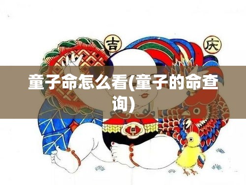 童子命怎么看(童子的命查询)