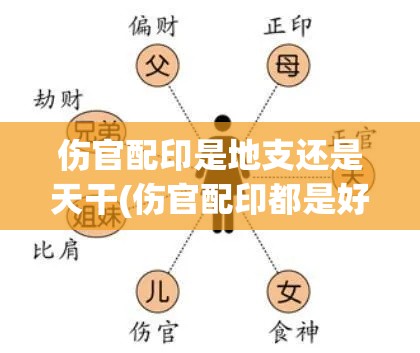 伤官配印是地支还是天干(伤官配印都是好命吗)