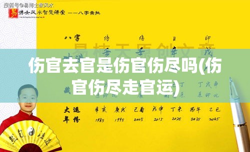 伤官去官是伤官伤尽吗(伤官伤尽走官运)
