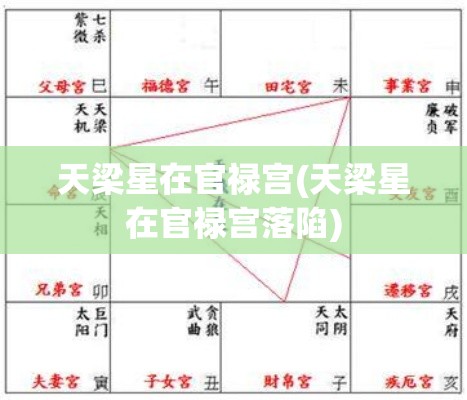 天梁星在官禄宫(天梁星在官禄宫落陷)