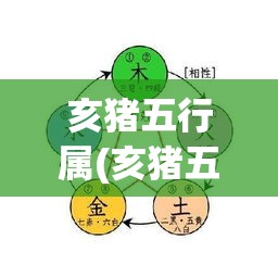 亥猪五行属(亥猪五行属什么金木水火土)