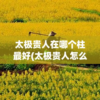 太极贵人在哪个柱最好(太极贵人怎么推算)