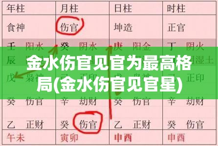 金水伤官见官为最高格局(金水伤官见官星)