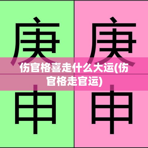 伤官格喜走什么大运(伤官格走官运)