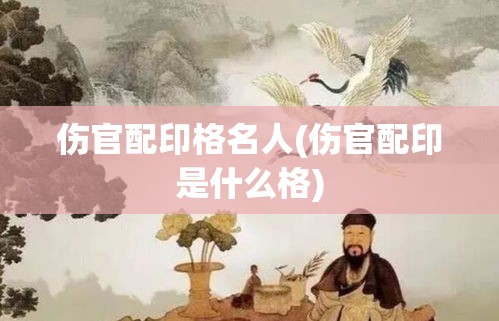 伤官配印格名人(伤官配印是什么格)