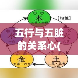 五行与五脏的关系心(五行与五脏的关系和生理意义)