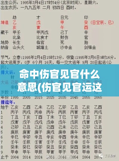 命中伤官见官什么意思(伤官见官运这句话什么意思？)