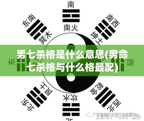 男七杀格是什么意思(男命七杀格与什么格最配)