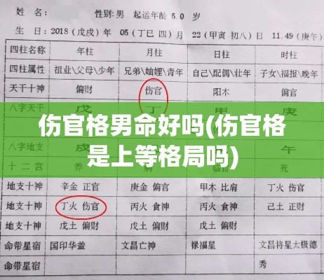 伤官格男命好吗(伤官格是上等格局吗)