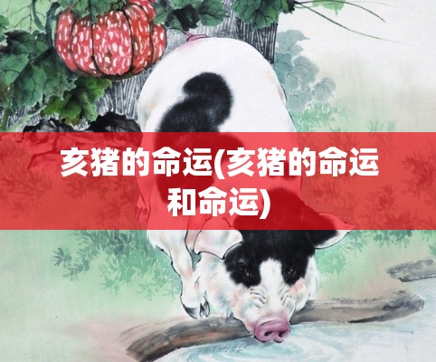 亥猪的命运(亥猪的命运和命运)