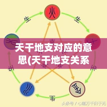 天干地支对应的意思(天干地支关系一览表)