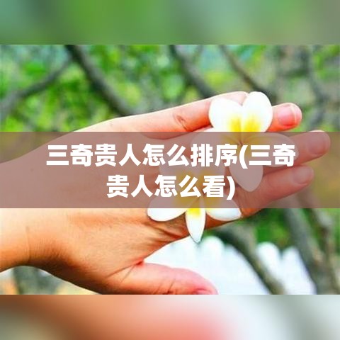 三奇贵人怎么排序(三奇贵人怎么看)