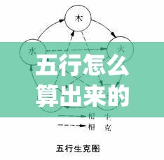 五行怎么算出来的(命理五行怎么算)