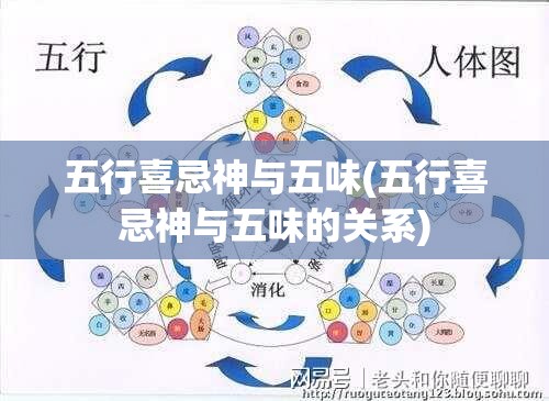 五行喜忌神与五味(五行喜忌神与五味的关系)