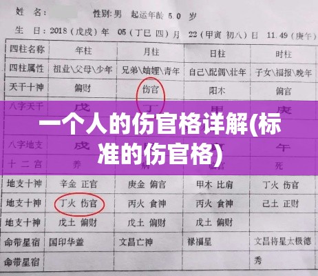 一个人的伤官格详解(标准的伤官格)